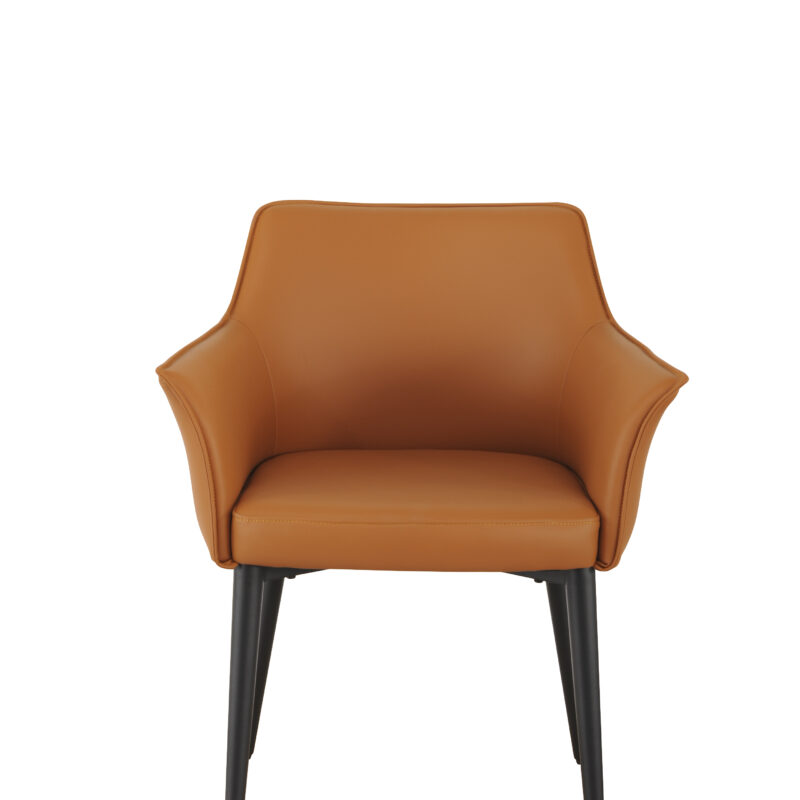 Monte Dining Chair Set of 2 - Terracotta, Grey