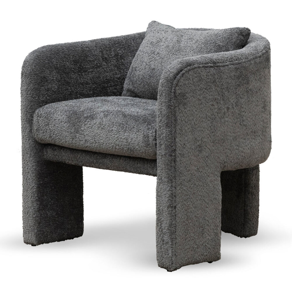 Efren Fabric Armchair - Iron Grey - Image 3