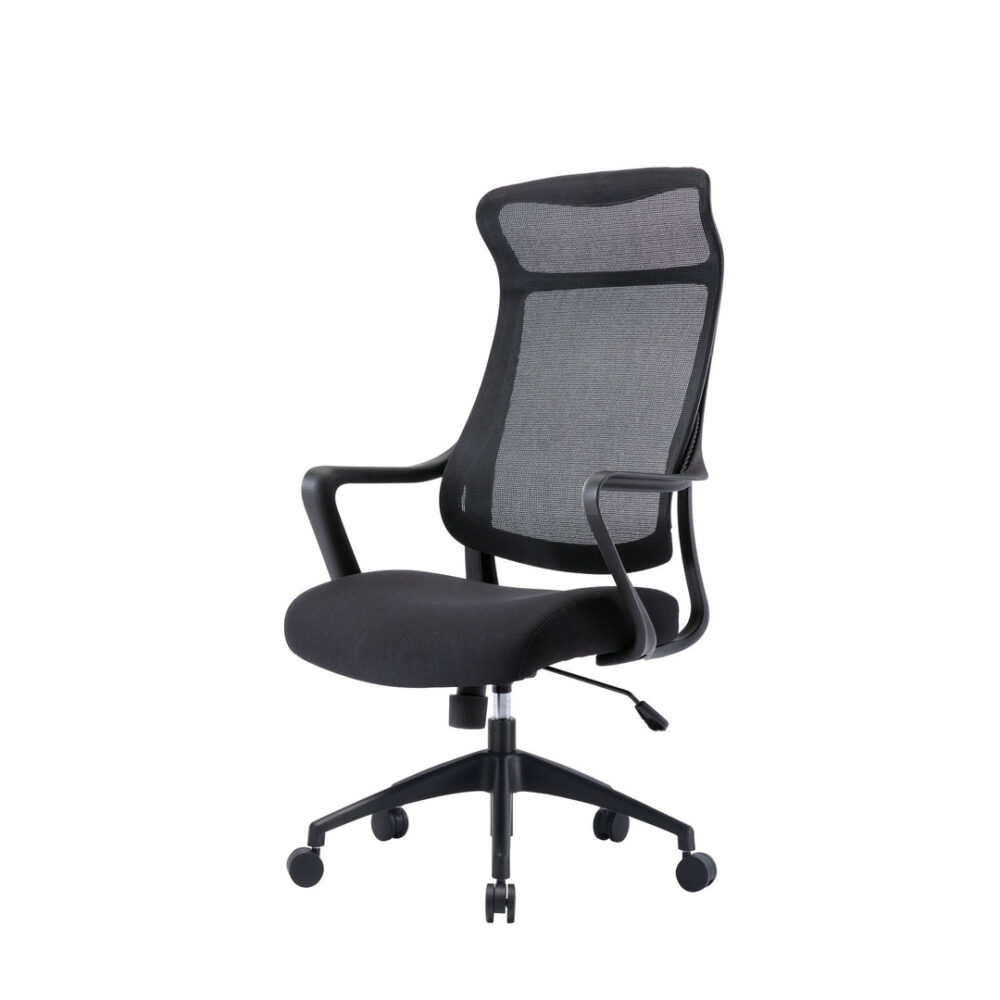 Lyman Mesh Ergonomic Office Chair - Black