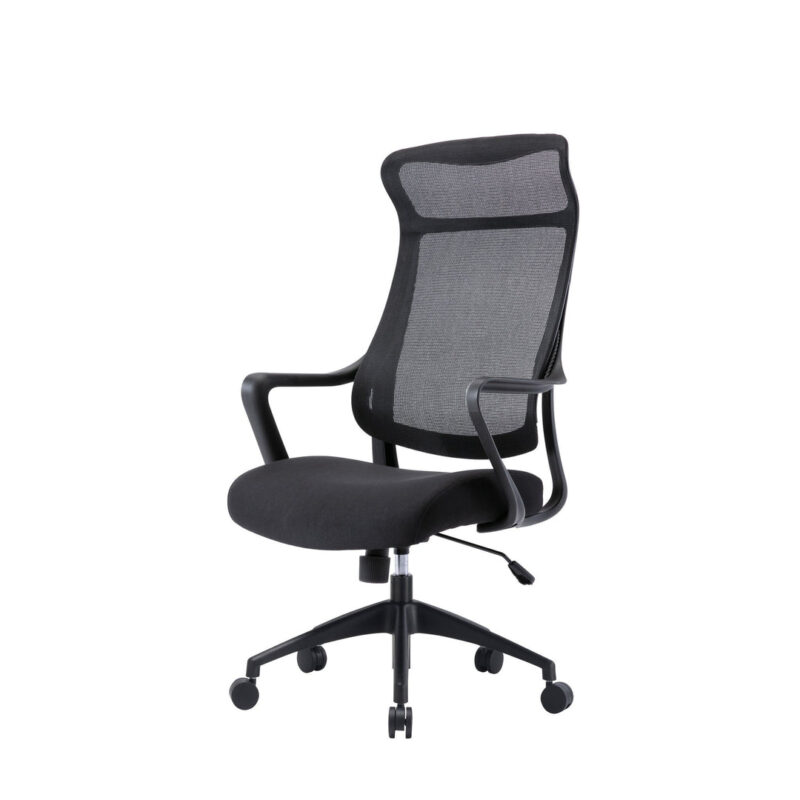 Lyman Mesh Ergonomic Office Chair - Black