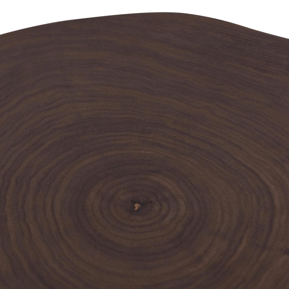 Medrano Side Table - Walnut Top and Black Leg - Image 7